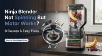 Ninja Blender Not Spinning But Motor Works