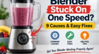 Blender Stuck On One Speed