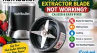 nutribullet extractor blade not working