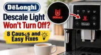 delonghi descale light wont turn off