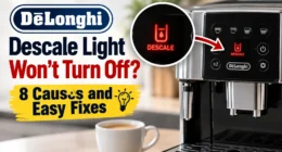 delonghi descale light wont turn off